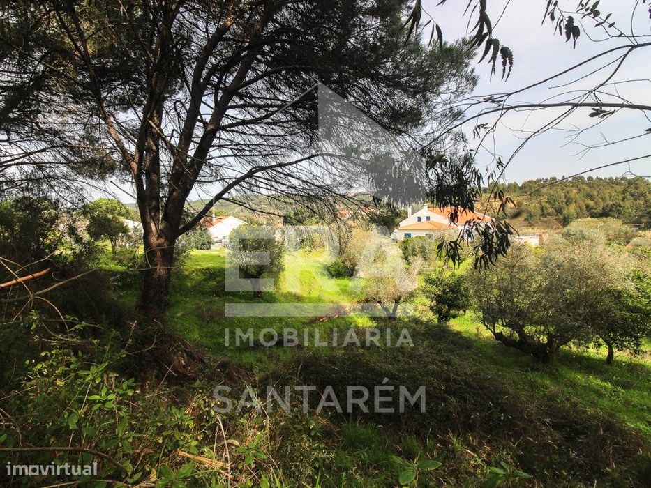 Terreno com cerca de 1 Hectare