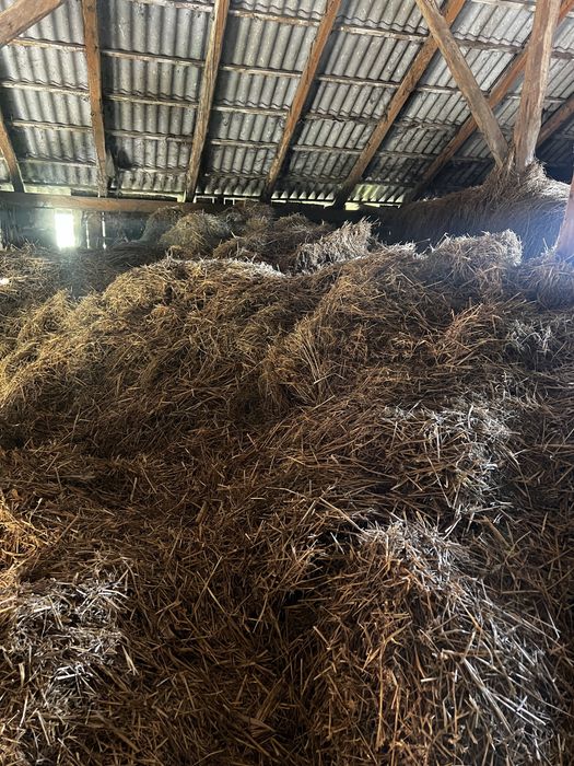 Oddam siano oraz słome