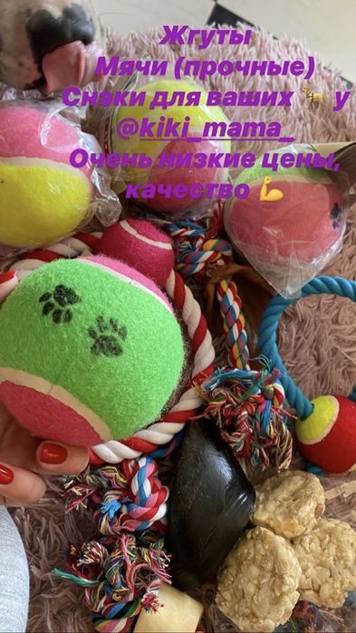 Мяч мячик для собак