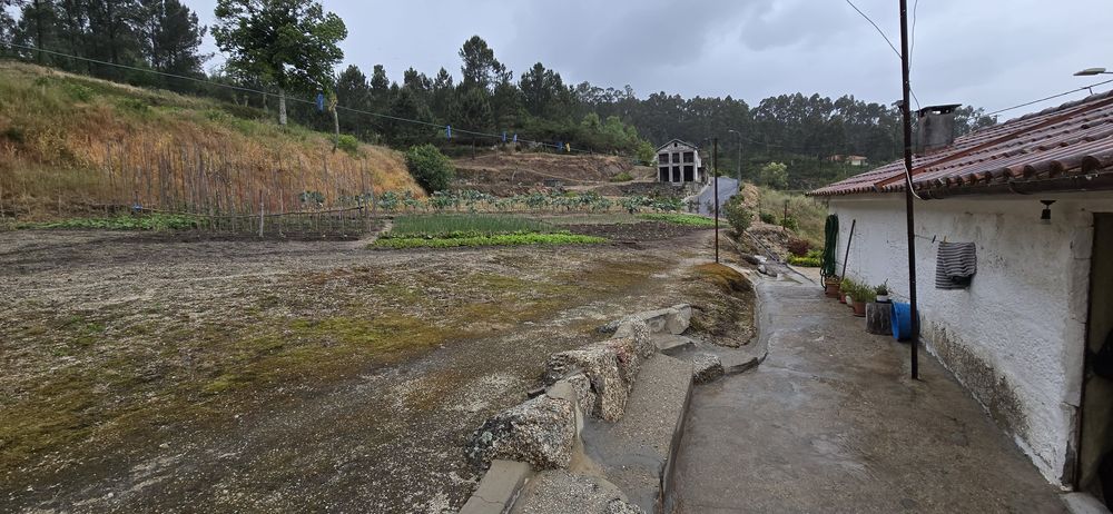 Quinta com 2 casas, tem 10 hectares de terreno