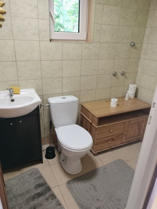 Domek 30m od jeziora