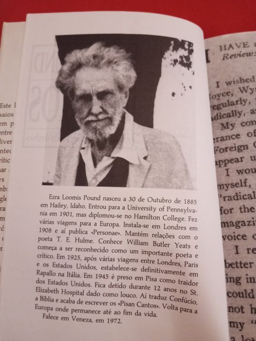 Ezra Pound - Ensaios