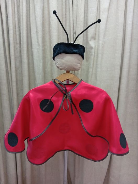 Жук сонечко. Божа корівка костюм