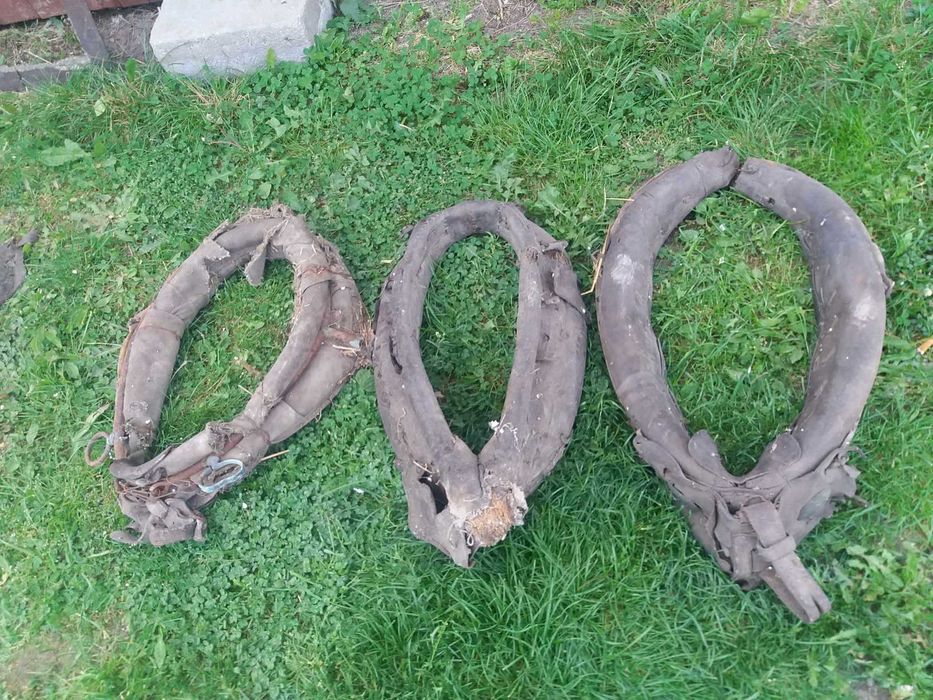 Stare homonta duze i małe homonto Sulechów • OLX.pl