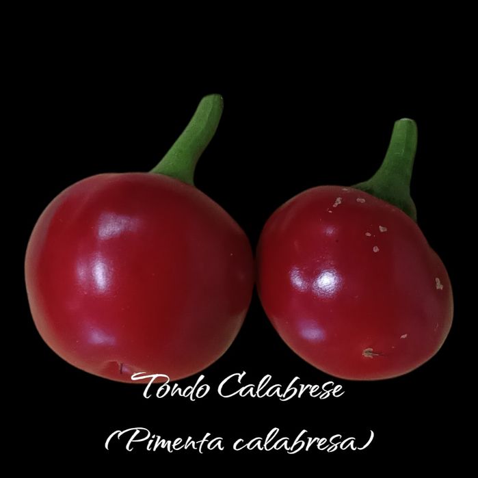 Vendo sementes de malaguetas/ pimentas com ofertas