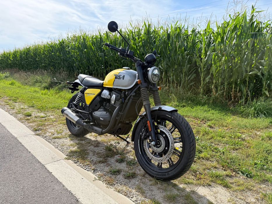 Bsa