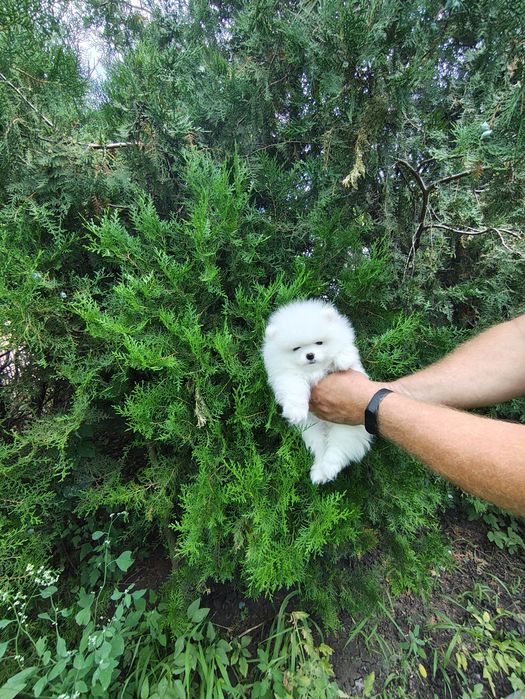 Хлопчики.та Дівчатка Міні Мішки!