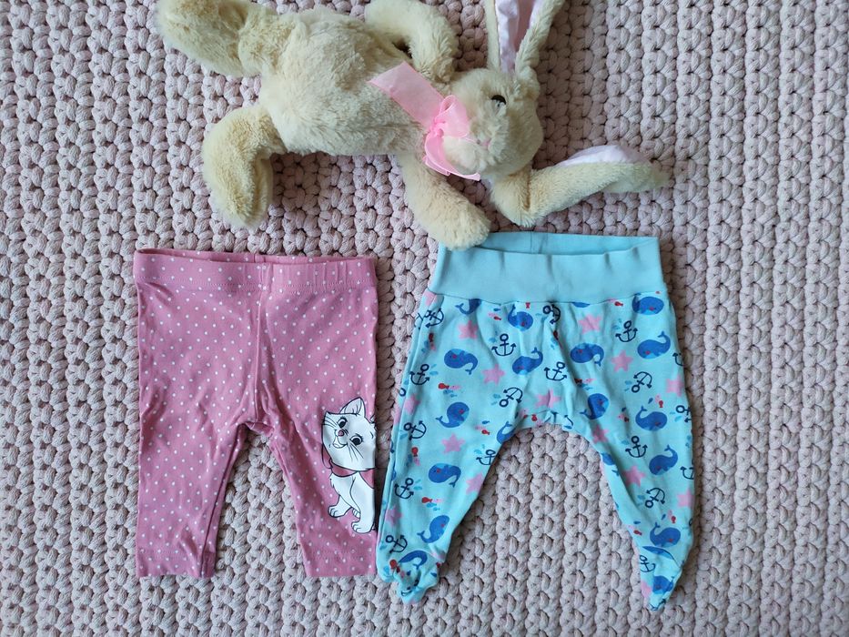 Zestaw 2 szt niemowlęcych spodenki legginsy półśpiochy 56 Disney Pepco
