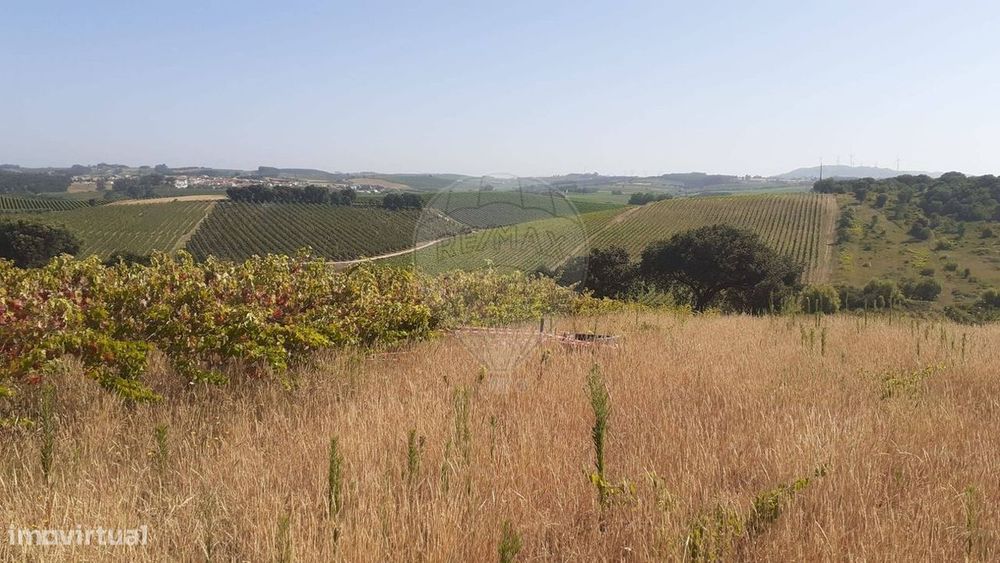Terreno  para venda — Vermelha, Lisboa