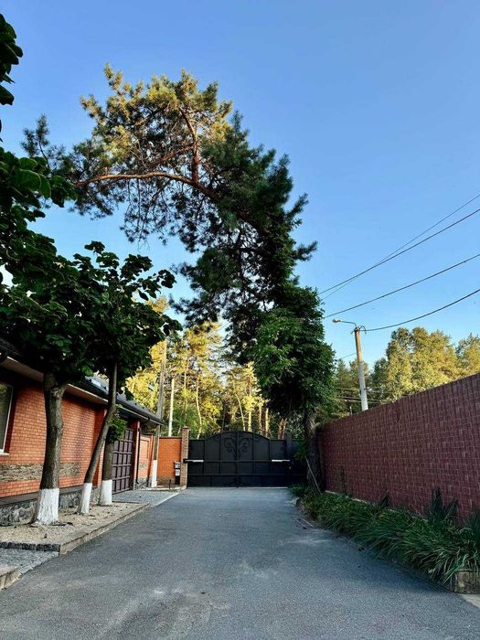 Продажа уникального участка в лесу Обуховка Кировское р-он Коляды