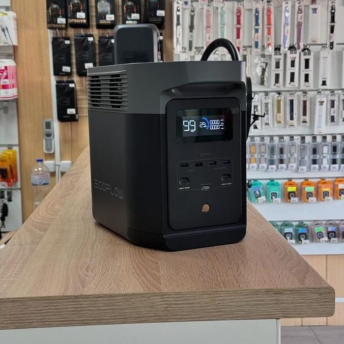 Екофлоу дельта 2 ( Ecoflow Delta 2) Зарядна станція 230 вольт