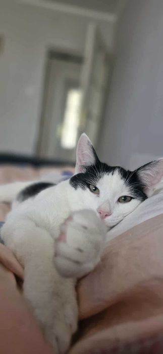 W domu tymczasowym dostałem ksywę Księgowy