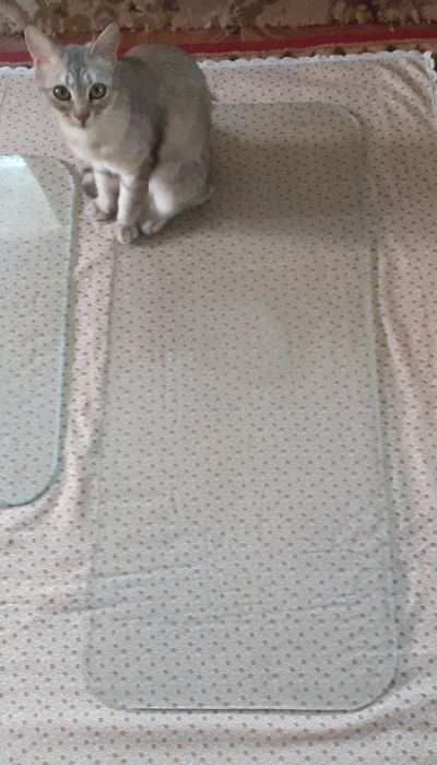 Полки стеклянние Стекло небьющееся толщиной 5 мм