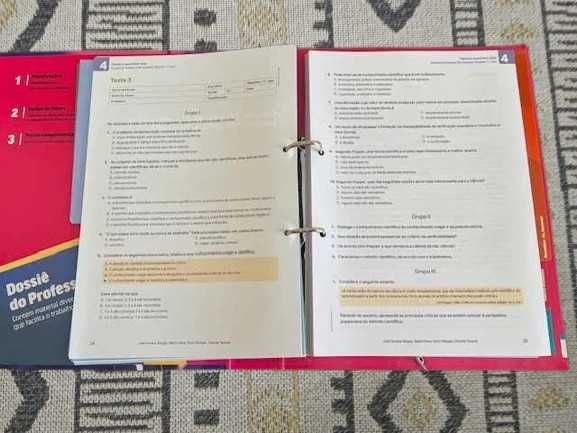 Recursos do Professor do manual Em questão 11