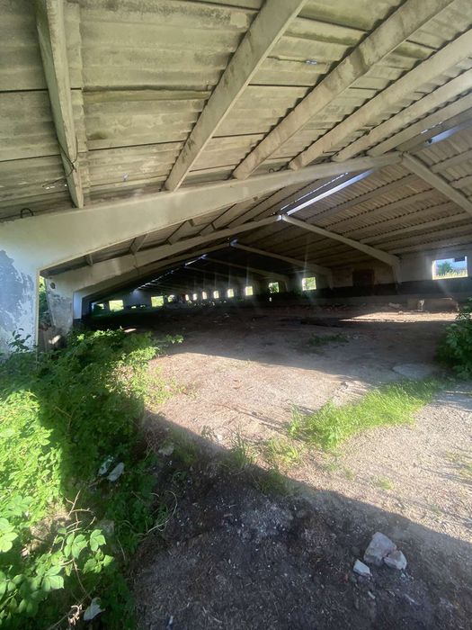 Продається ферма