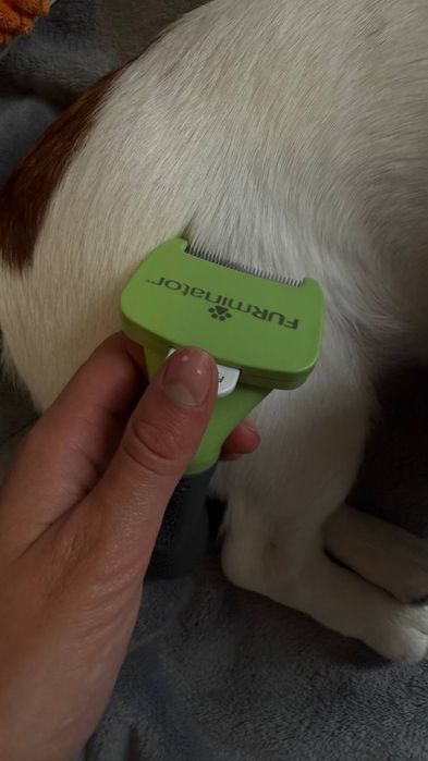 Furminator Undercoat Short Hair Dog S, Фурминатор