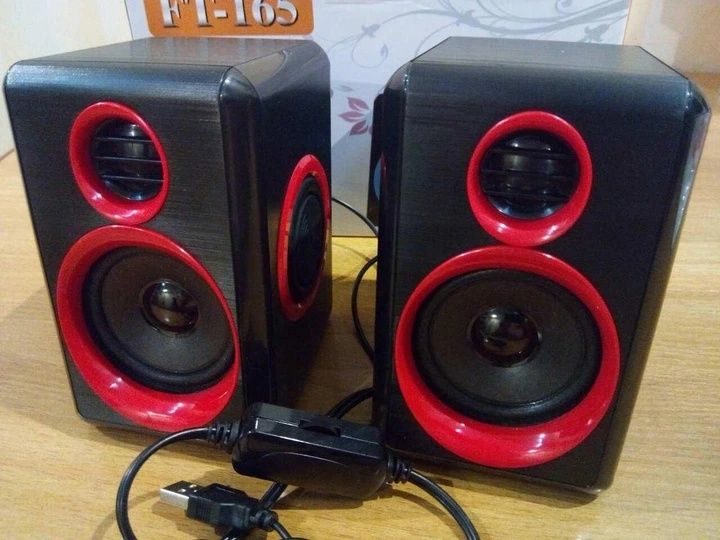 Колонки для ПК Акустика Акустична система 2.0 FNT FT-165