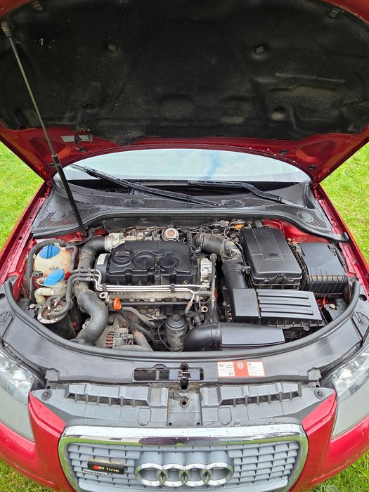 Audi A3 8P Quattro