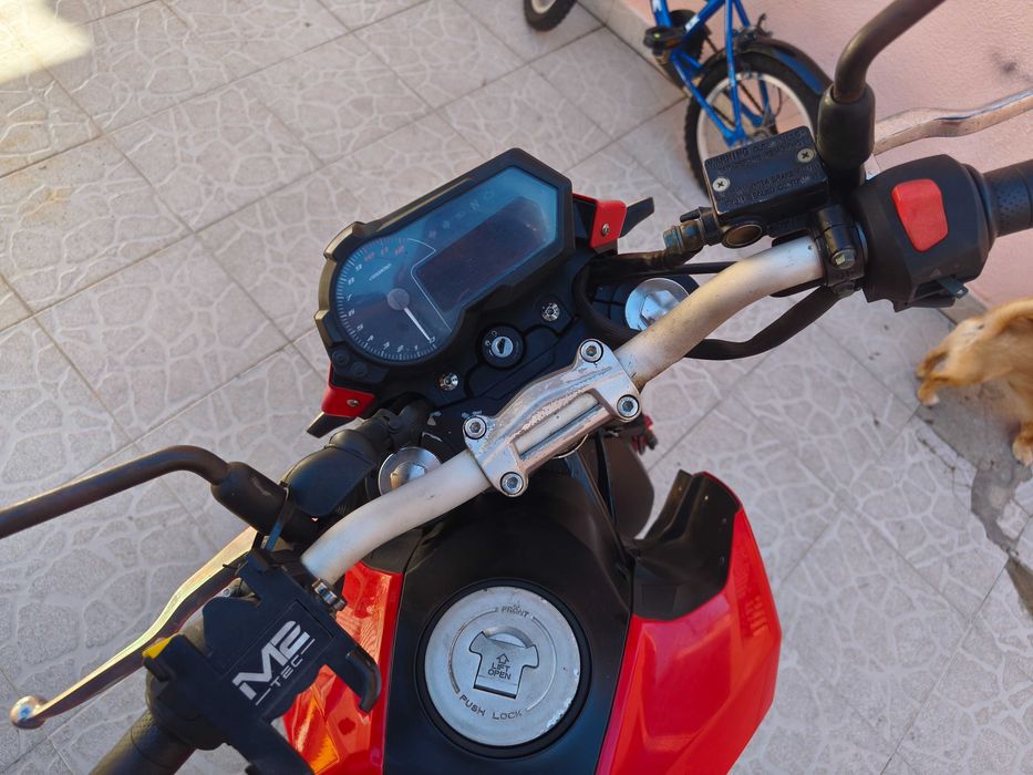 benelli tnt 125 2019