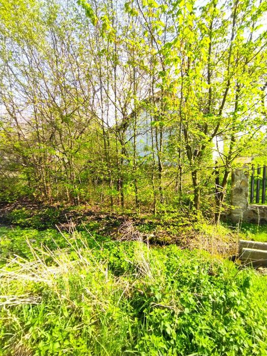 Будинок з земельною ділянкою