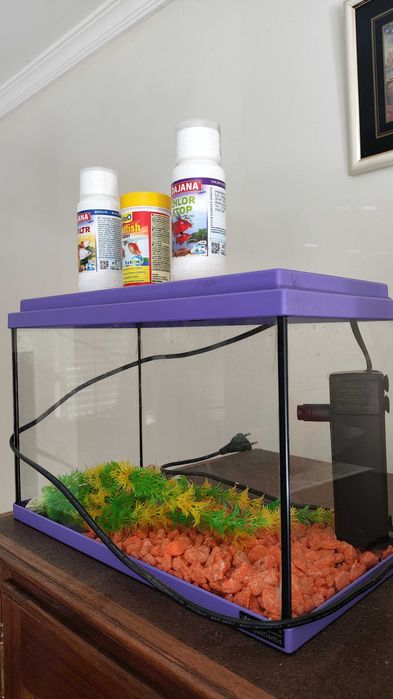 Aquário 15L 35cmx18cmx23cm