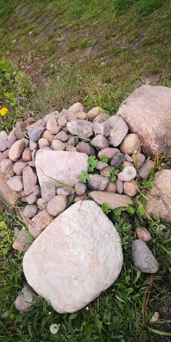 Kamienie polne do ogrodu