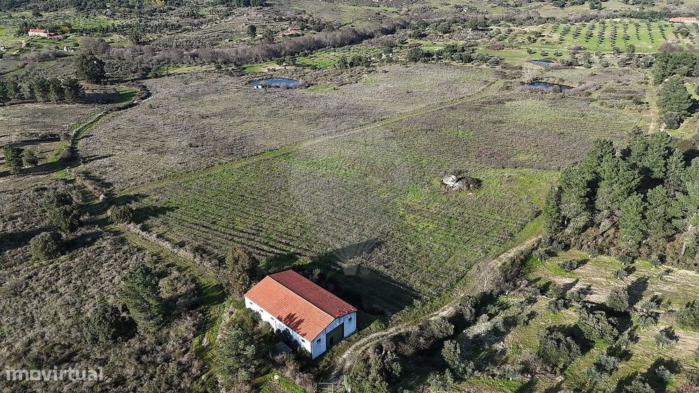 Terreno  para venda