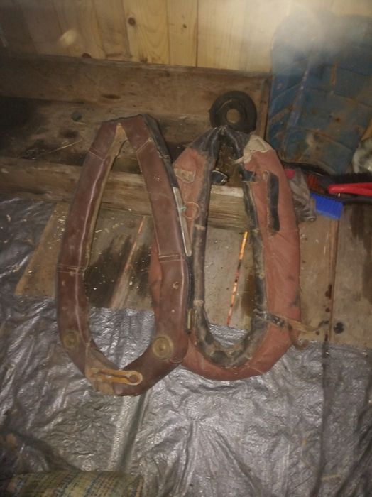 Продам хомут  б у на коня 3