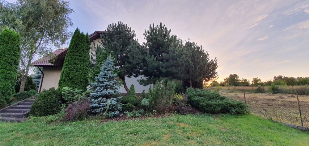 Dom pod Krakowem do wynajęcia