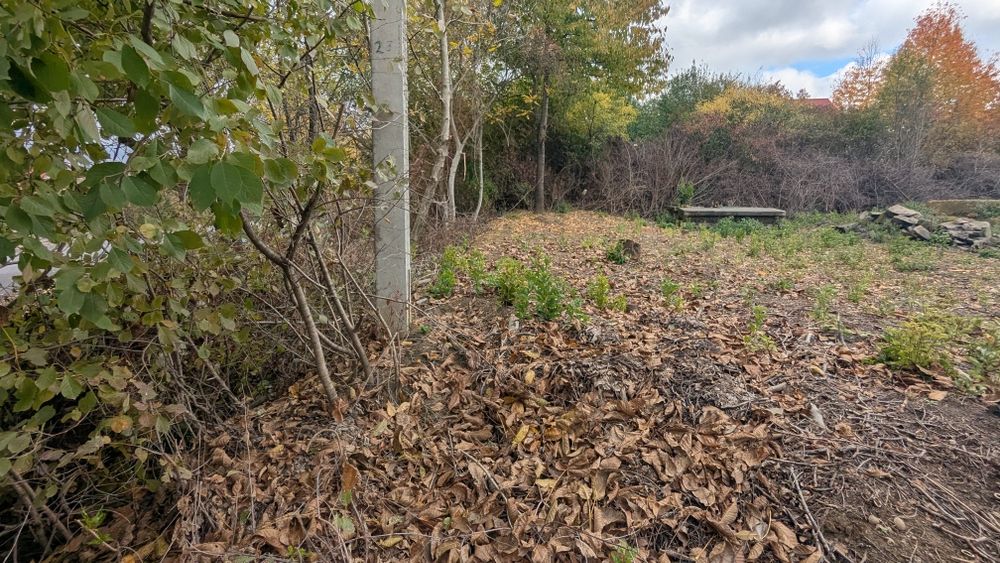 Продаж земельної ділянки Табла