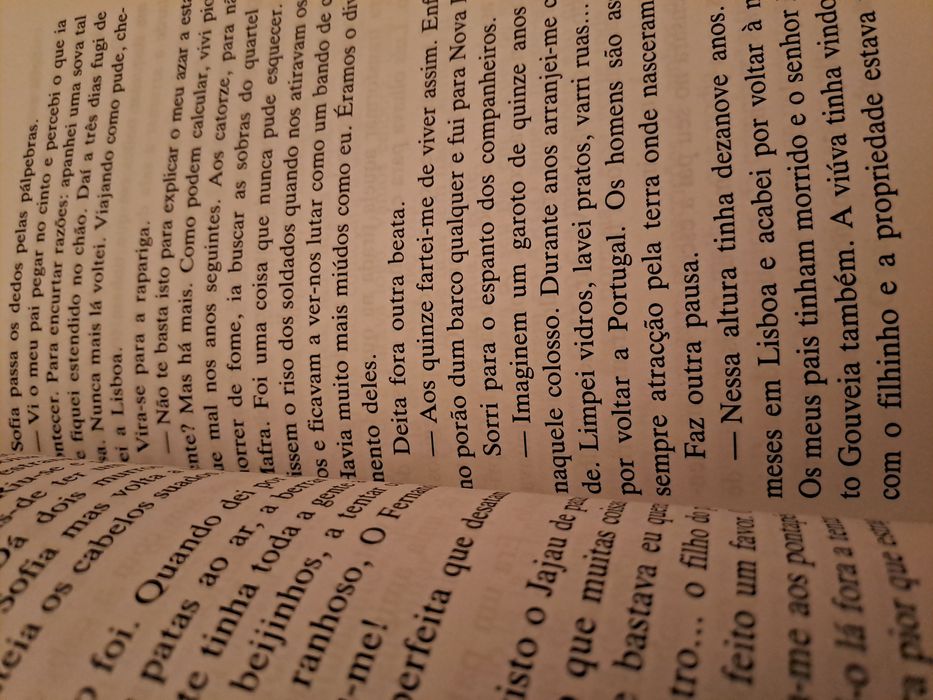 Domingo de Ramos de Clara Pinto Correia