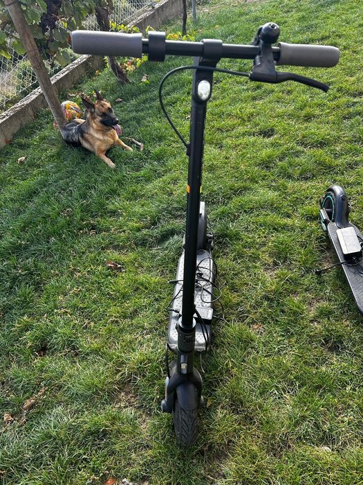 VENDO] Pack 2 Trotinetes Elétricas (Xiaomi Pro 2 Mercedes F1 + Segway-Ninebot) – Excelente Estado!