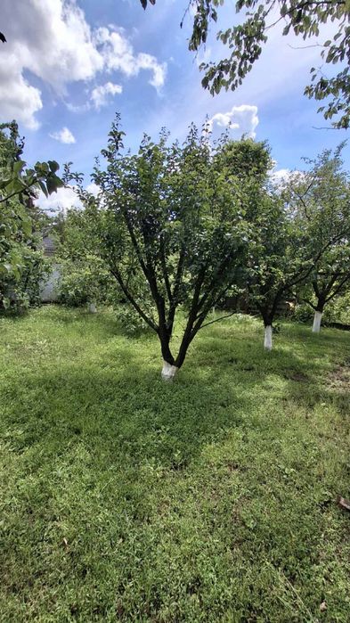 Продам  маленький 2к будиночок  30 кв м Кам‘янське Романково - View 3