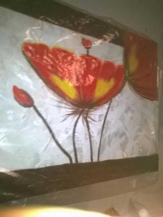 Promoção! Quadros Decoração