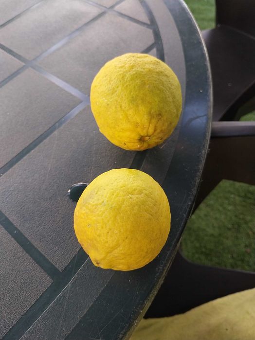 Vendo limas sumarentas