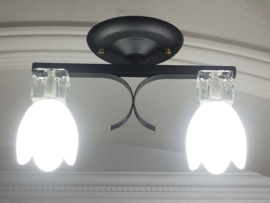 Стельова люстра 2602/2