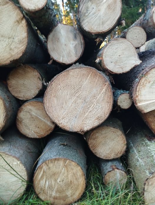 Drewno Opałowe Sosna Wałki