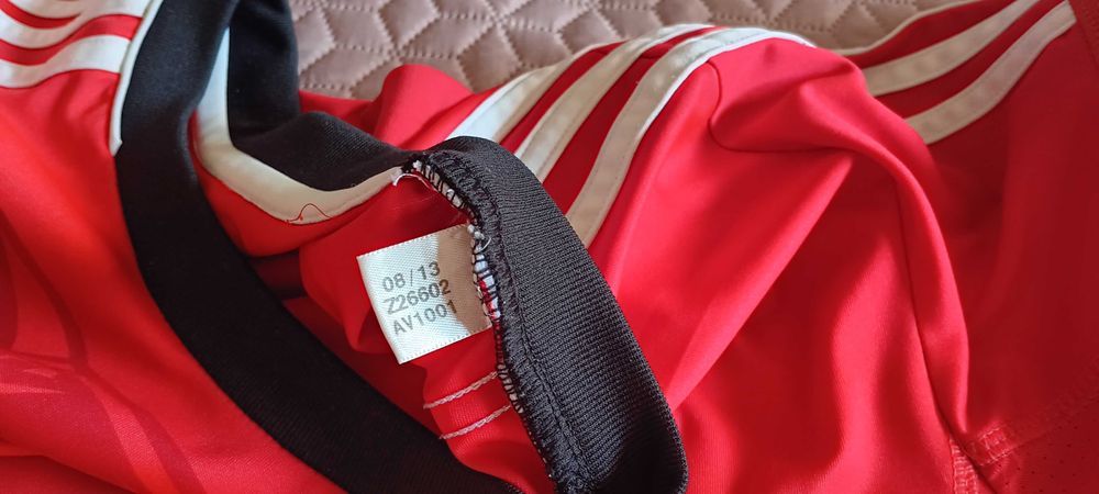 Cardozo camisola Benfica 13/14