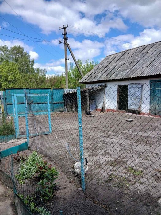Продам будинок на ділянці 60 сот