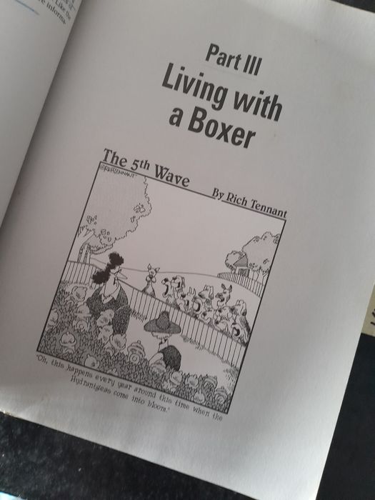 Livro Boxers for Dummies em inglês