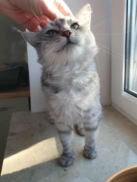 Piekna niunia szuka swojego czlowieka