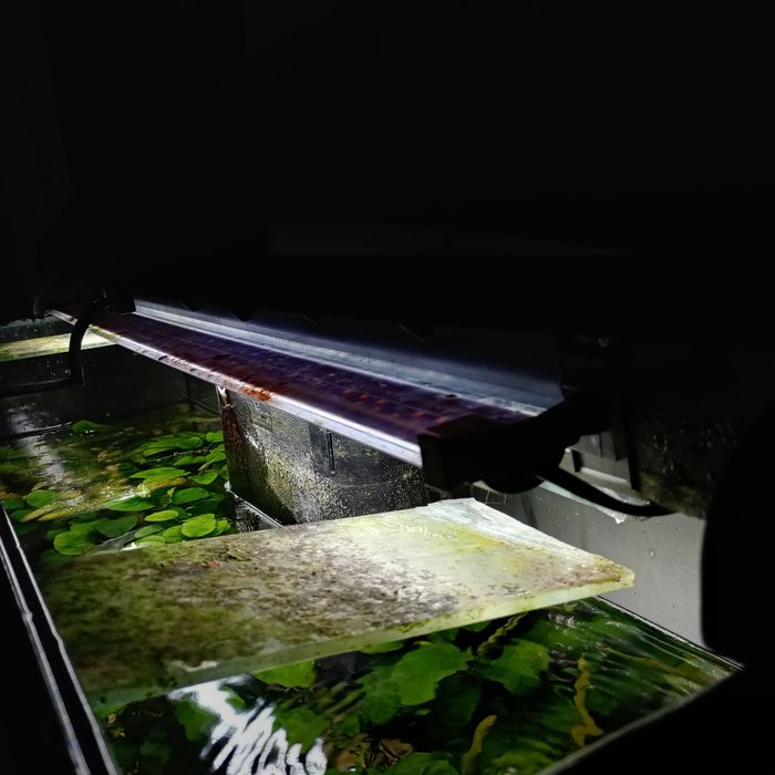 Aquário 1m Aquatlantis