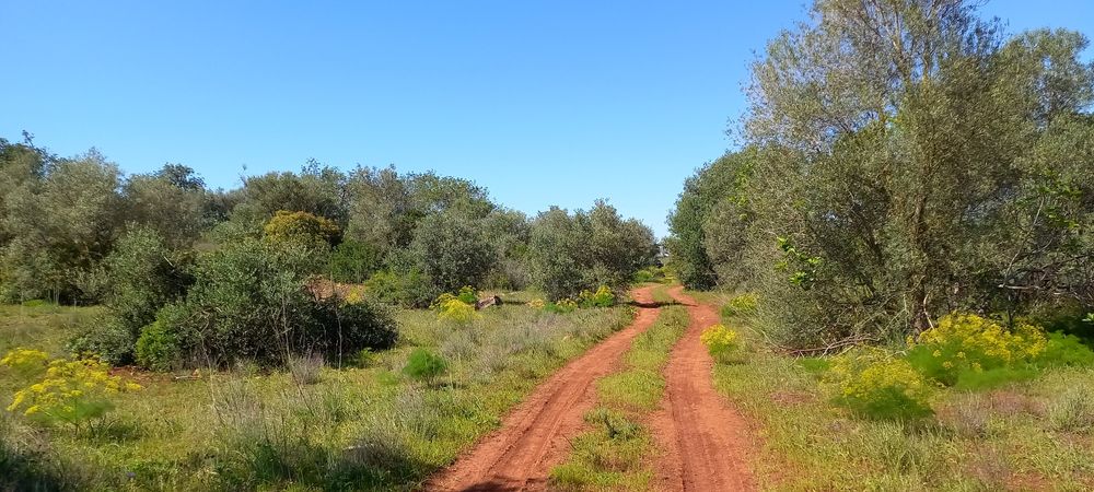 Vende-se terreno agrícola bem localizado