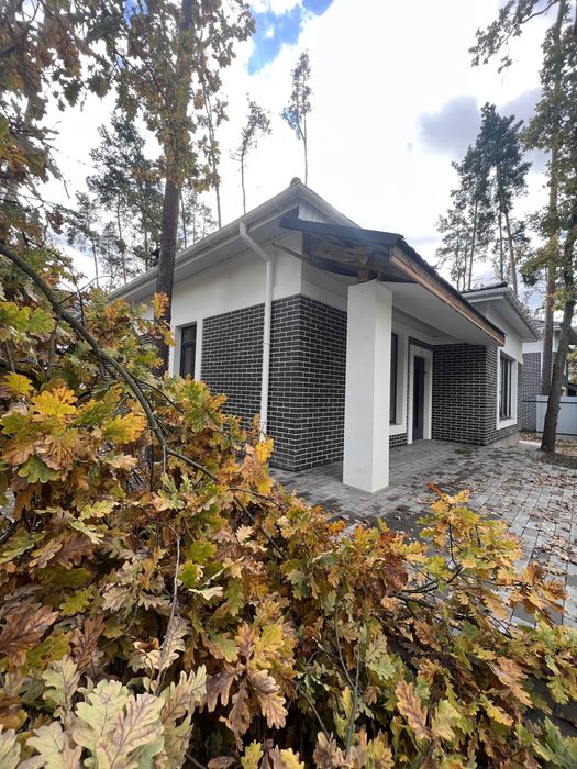 Готовий до ремонту одноповерховий будинок в Лісова Буча Річ Таун