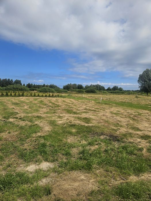Karwia działka nad morzem w promocyjnej cenie - Widok 2