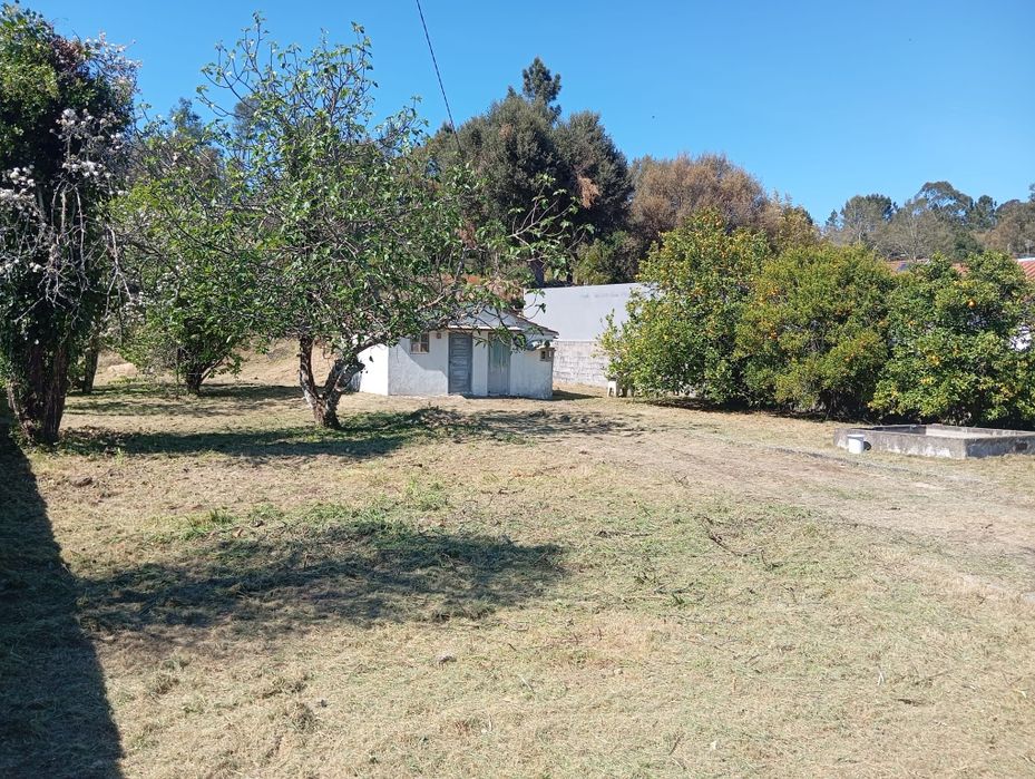 Terreno em Pedrogao Pequeno