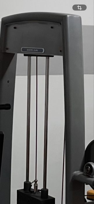 Technogym Element Bicep Curl Machine511250316227389441