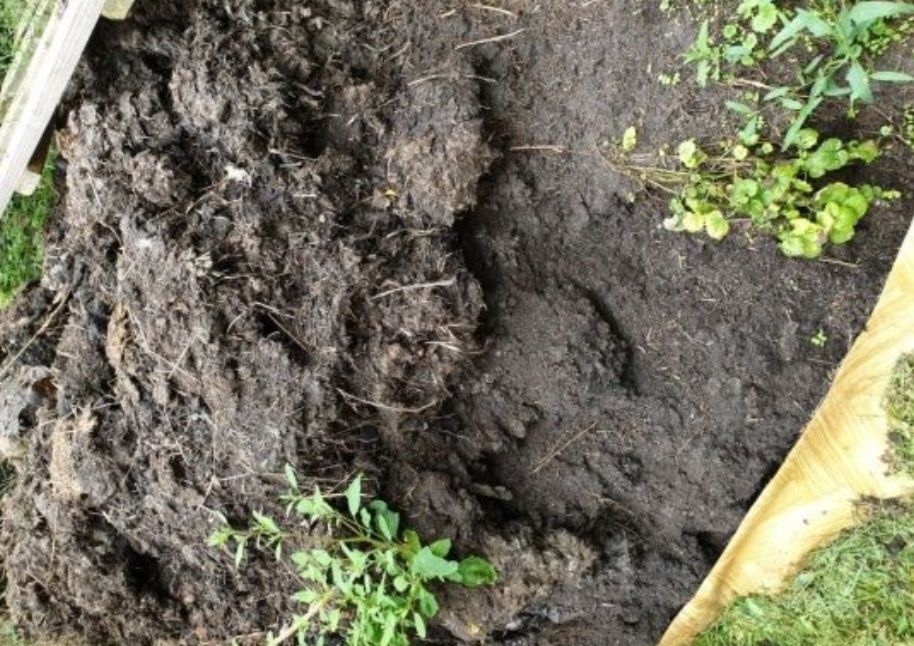 Ziemia ogrodowa, obornik koński