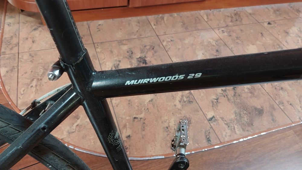 Marin Muirwoods 29