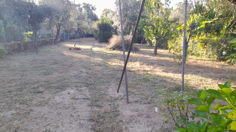 Limpeza de mato junto a edificações.